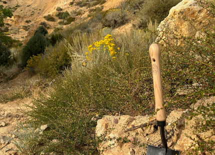 DeWit Shovel - American with 10" Handgrip