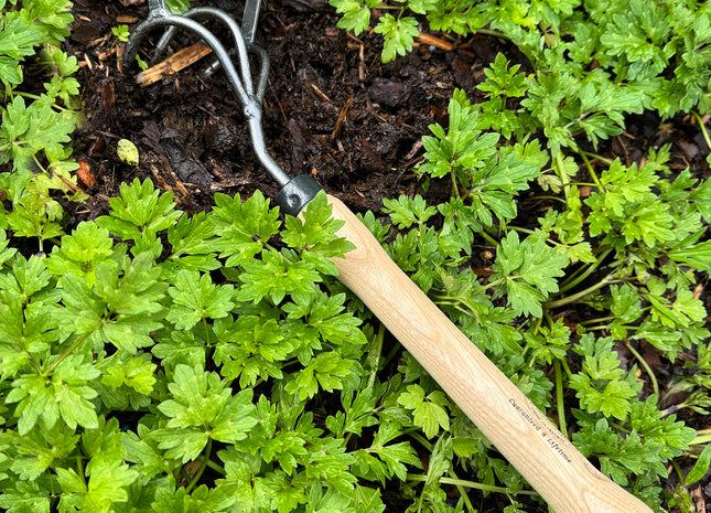 DeWit Cultivator - Stirrup with 10" Handgrip
