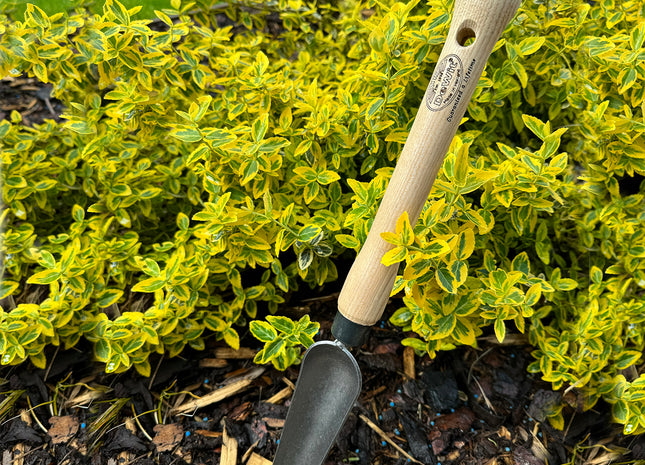 DeWit Trowel - Welldone Snake Tongue with 10" Handgrip