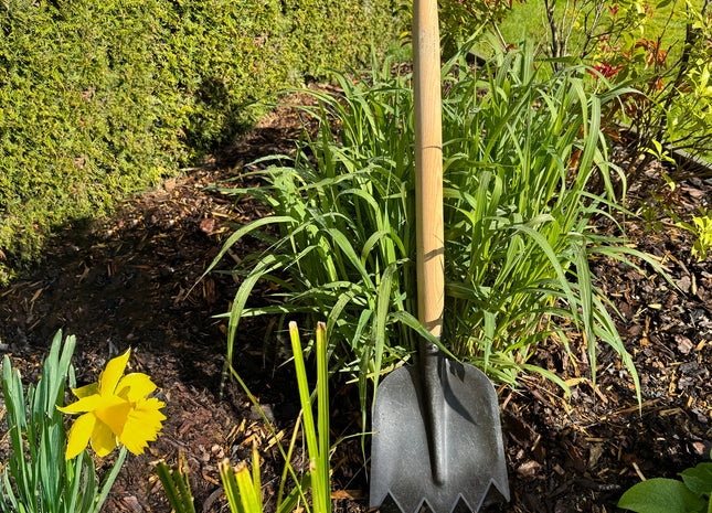 DeWit Shovel - Serrated T-Handle