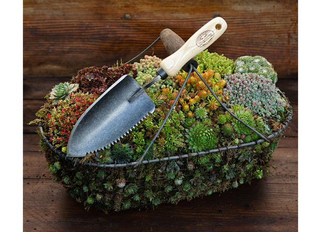 DeWit Trowel - Welldone Serrated
