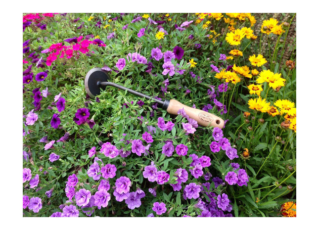 DeWit Weeder - Disc 10" Handle