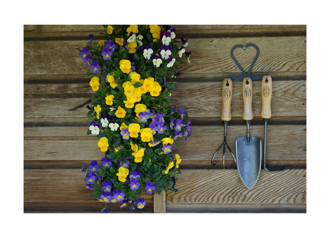 DeWit Tool Gift Set - 3 Piece with Hanger
