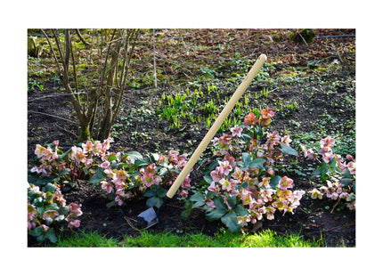 DeWit Shovel - Mini American Welldone Long Handle