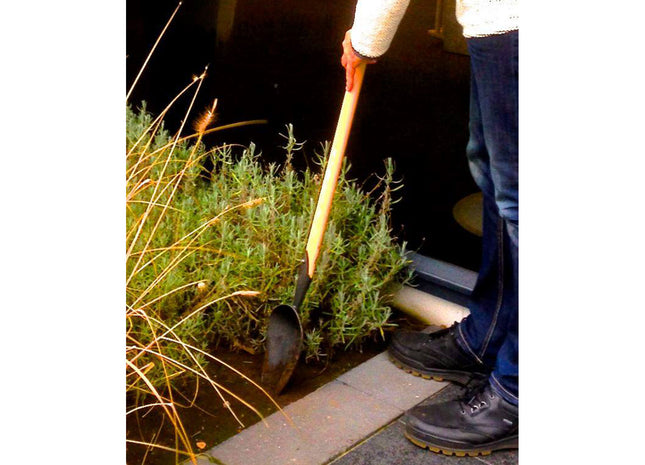 DeWit Scoop - Compost Digging T-Handle