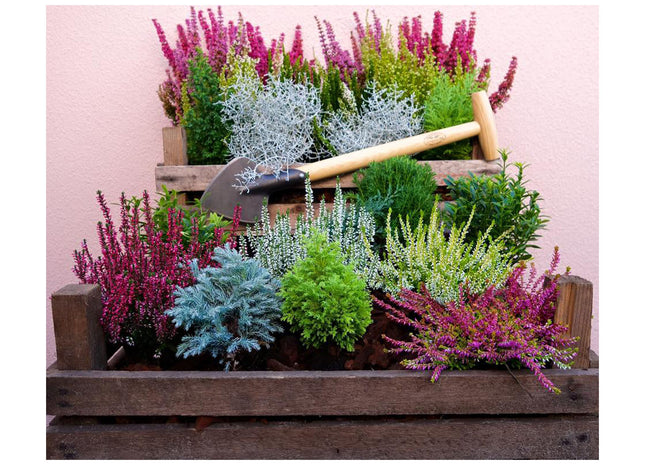 DeWit Spade - Perennial Long Handle
