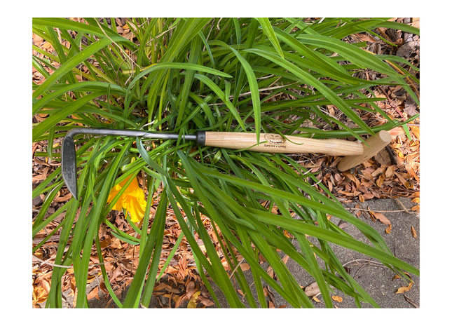 DeWit Weeder - Cape Cod Right Hand P-Grip