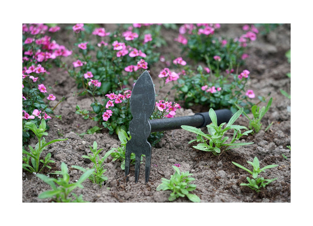 DeWit Comby Hoe - 3 Tine Cultivator / Heart Shaped