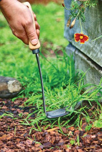DeWit Tool Gift Set  -  Repotting/Transplanting
