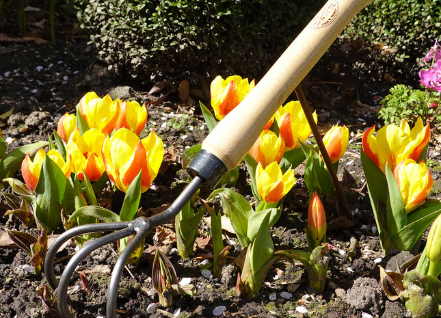 DeWit Cultivator - Midsize Handle